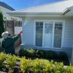 Tackling household pest control without any stress